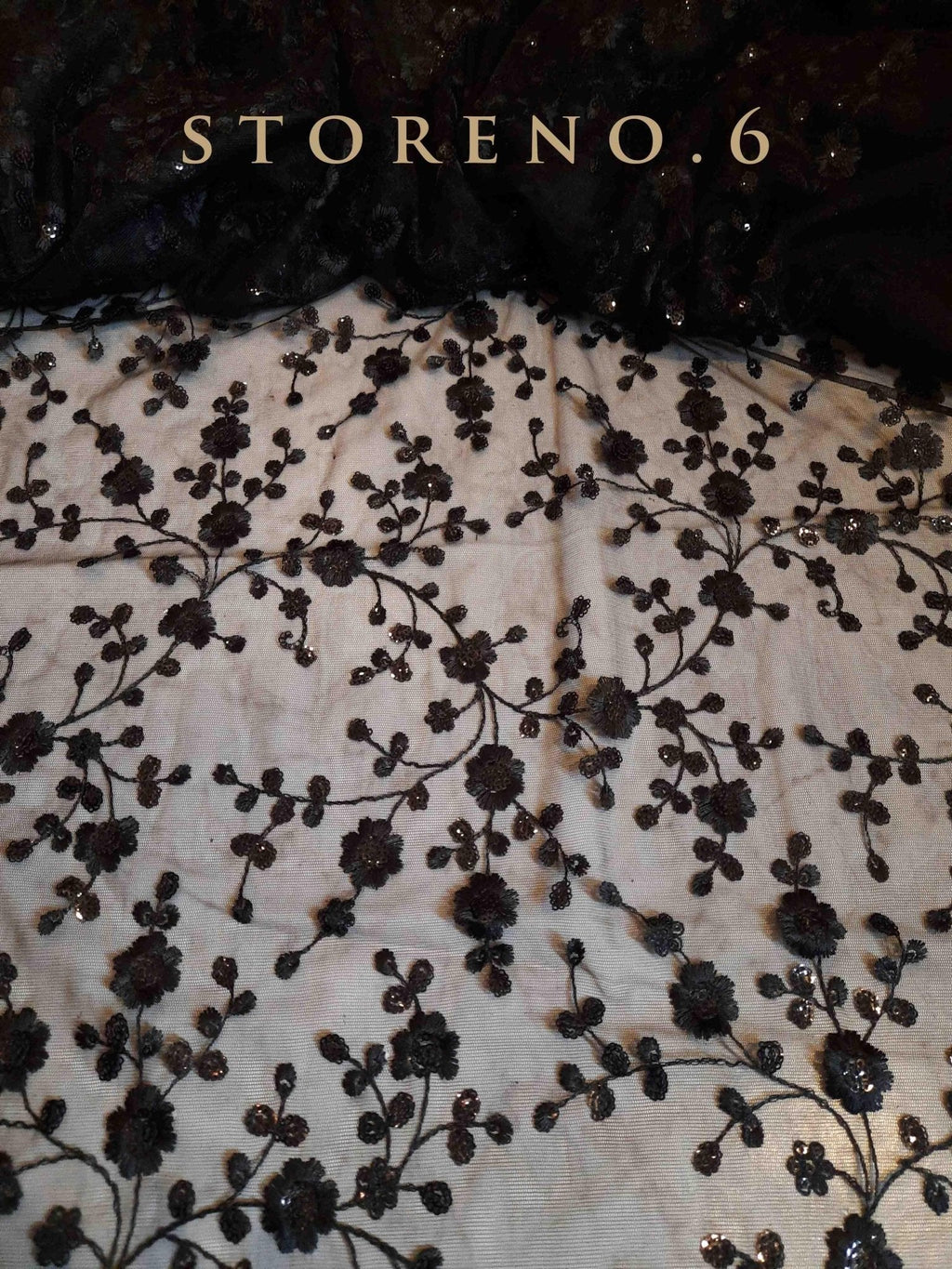 SHINE IN BLACK SAREE