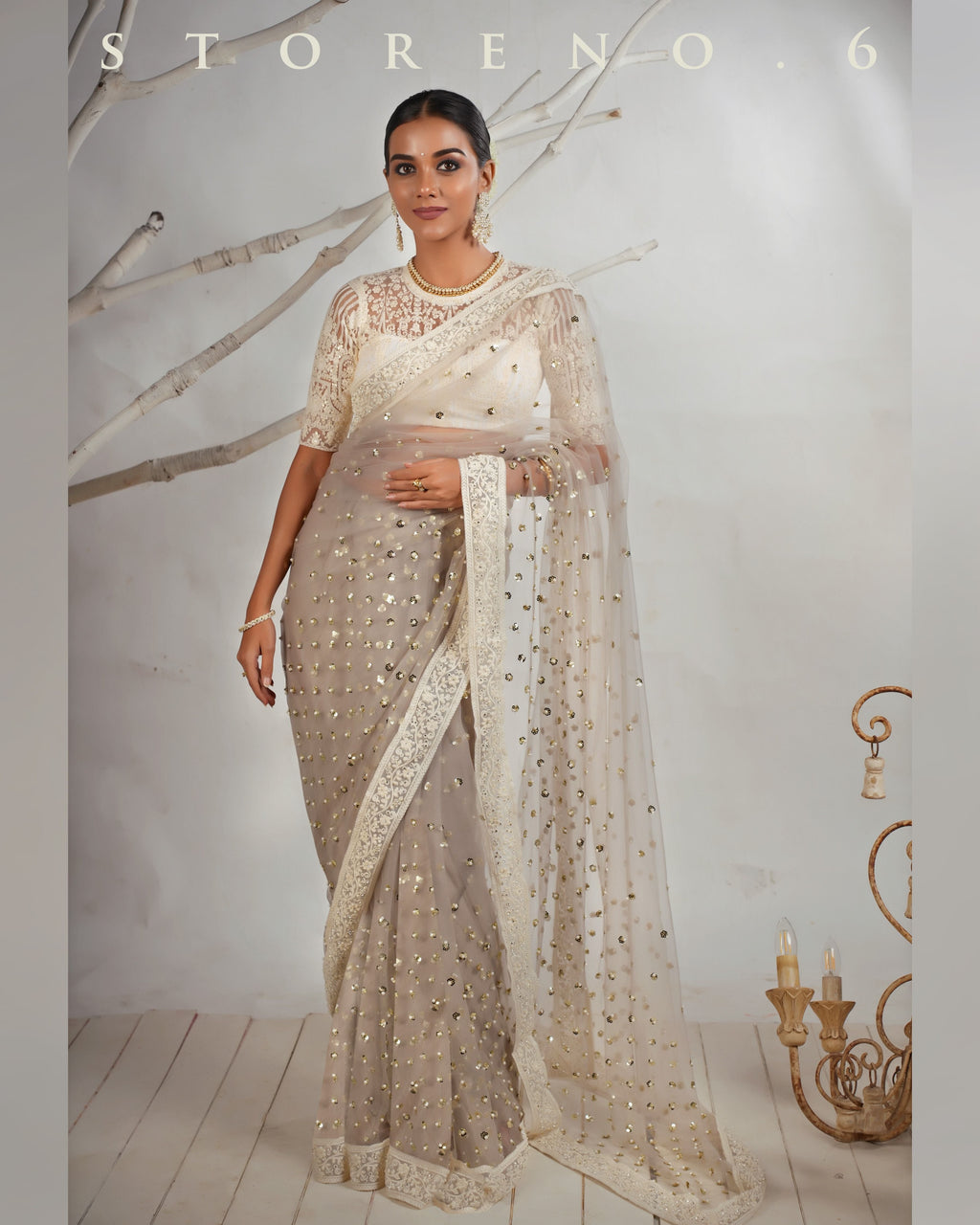THE AGELESS ASH SAREE