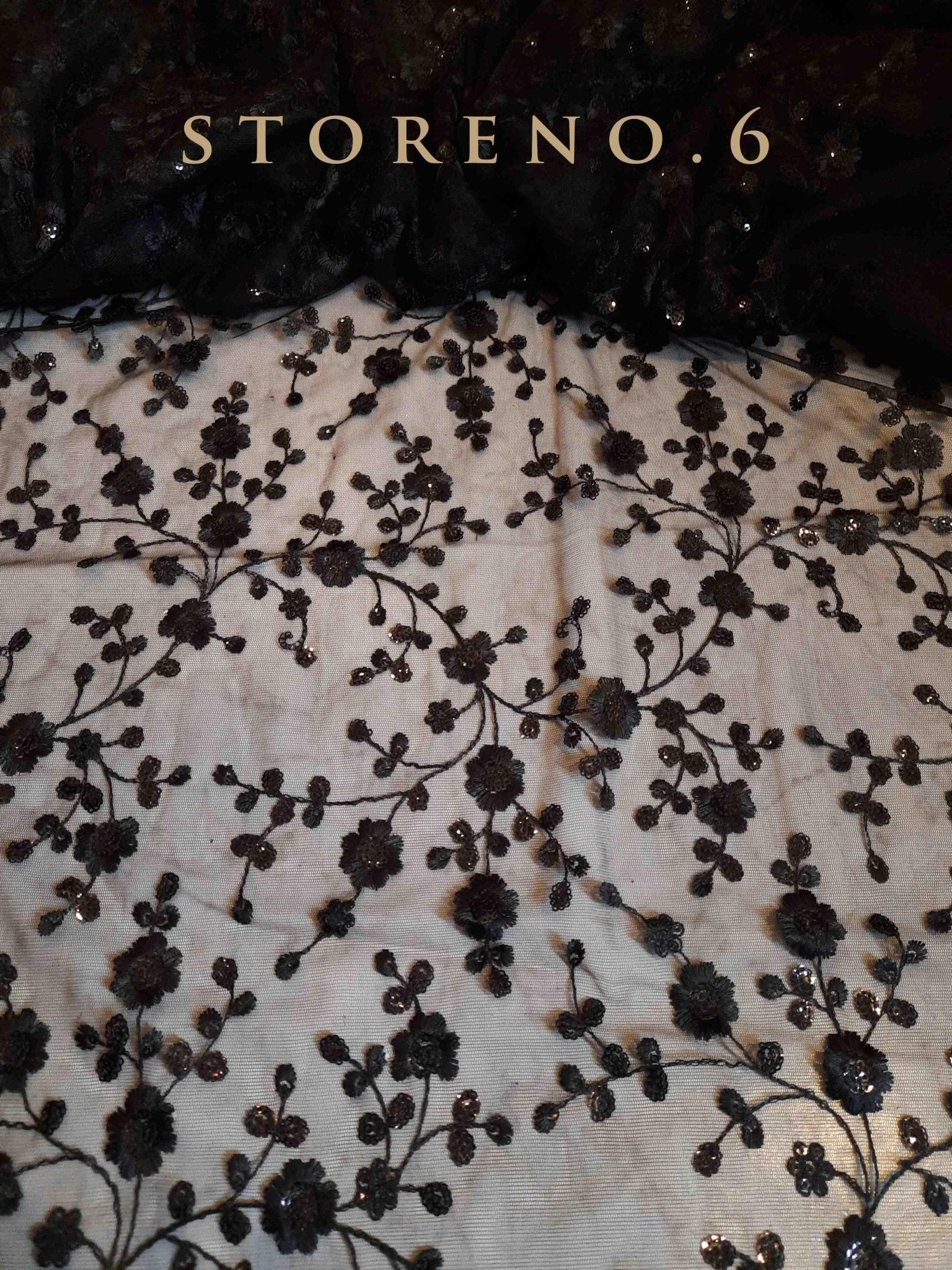 SHINE IN BLACK SAREE