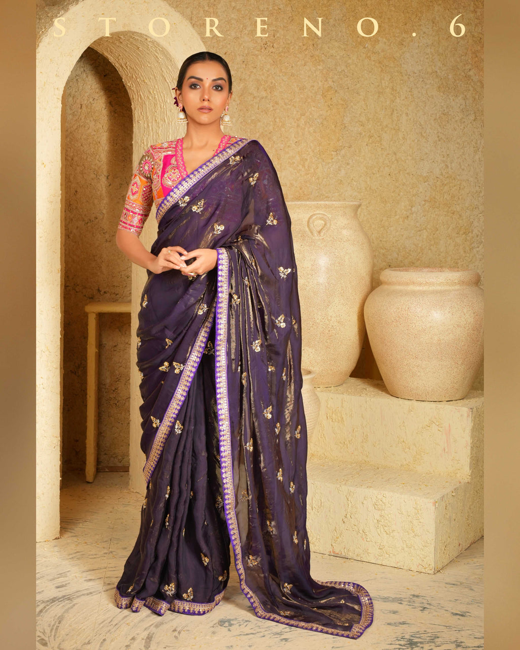 RAISIN RITZY SAREE