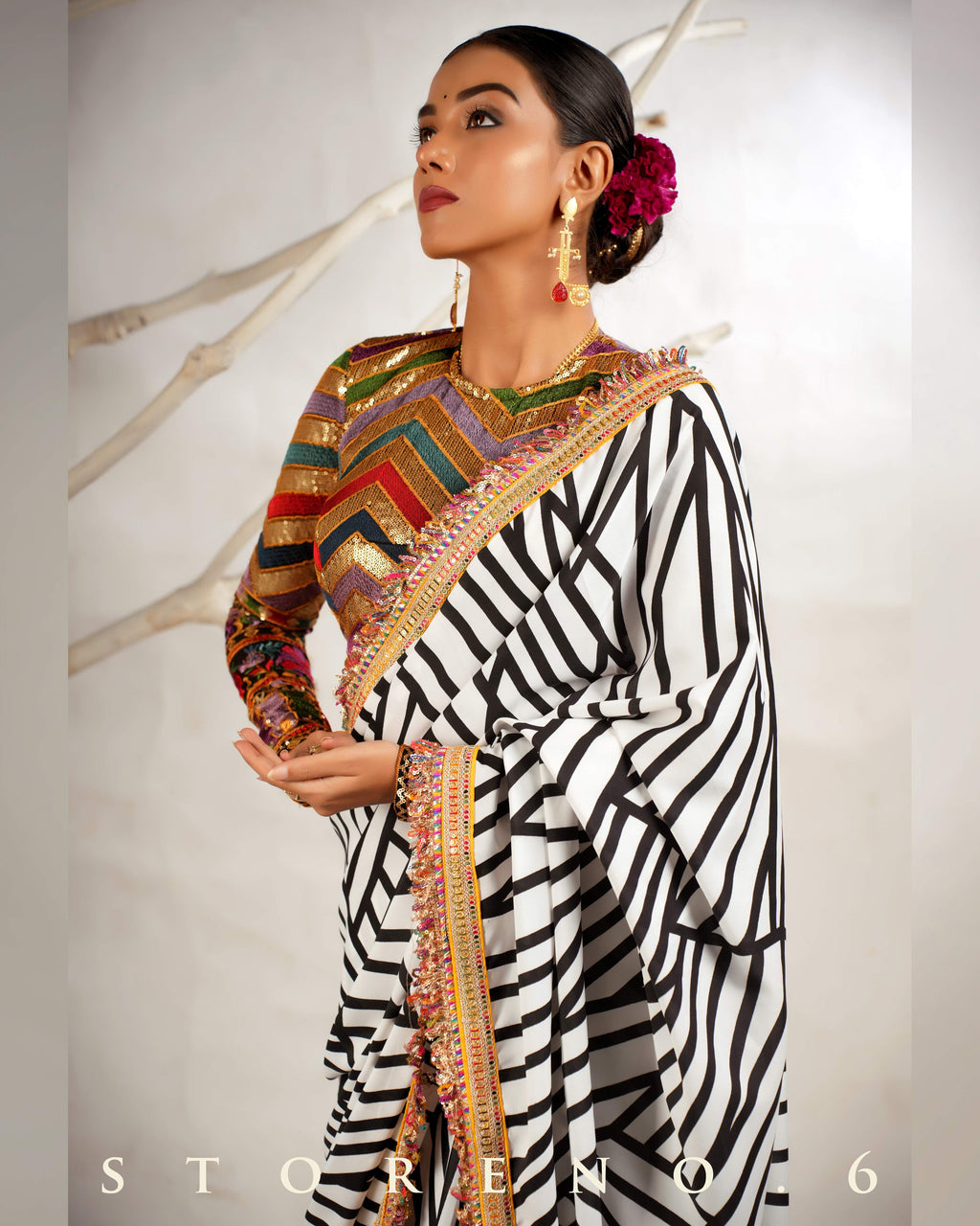 THE WIZARD'S SHOW SAREE