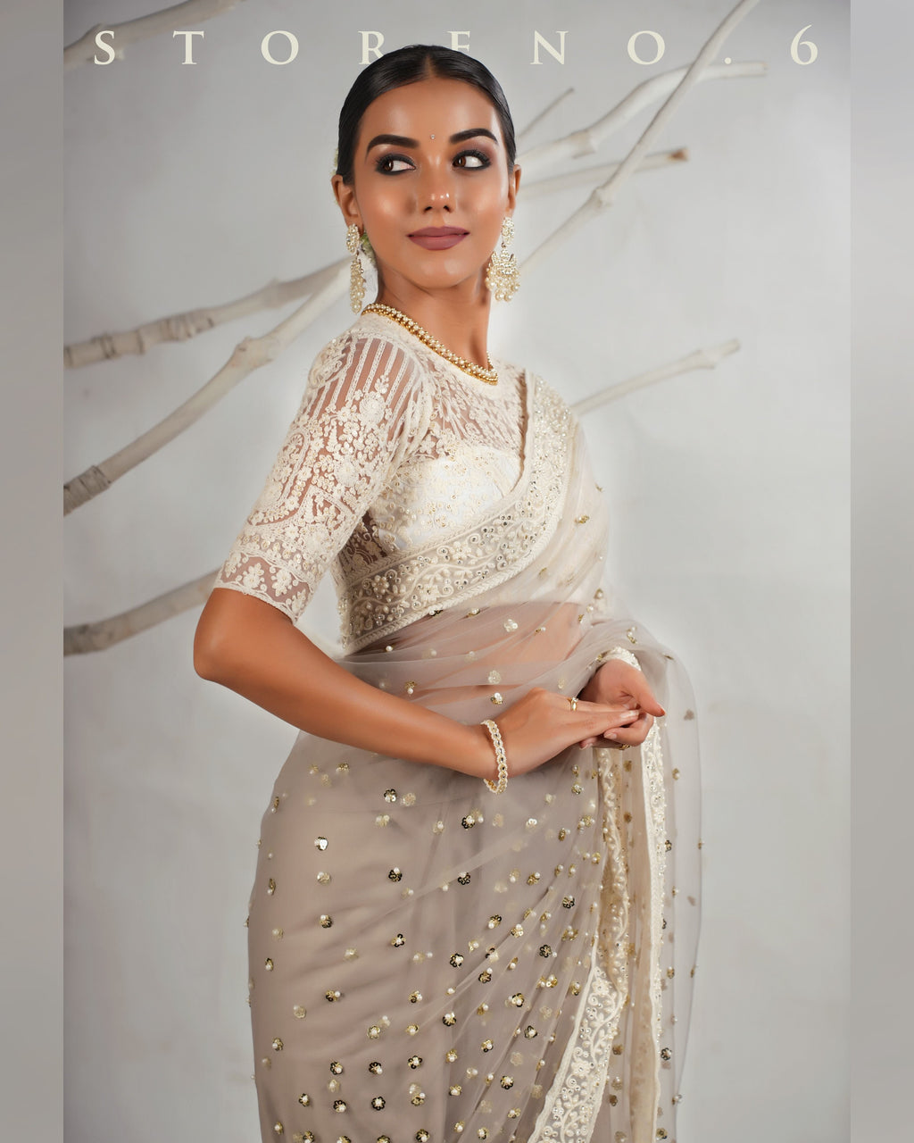 THE AGELESS ASH SAREE