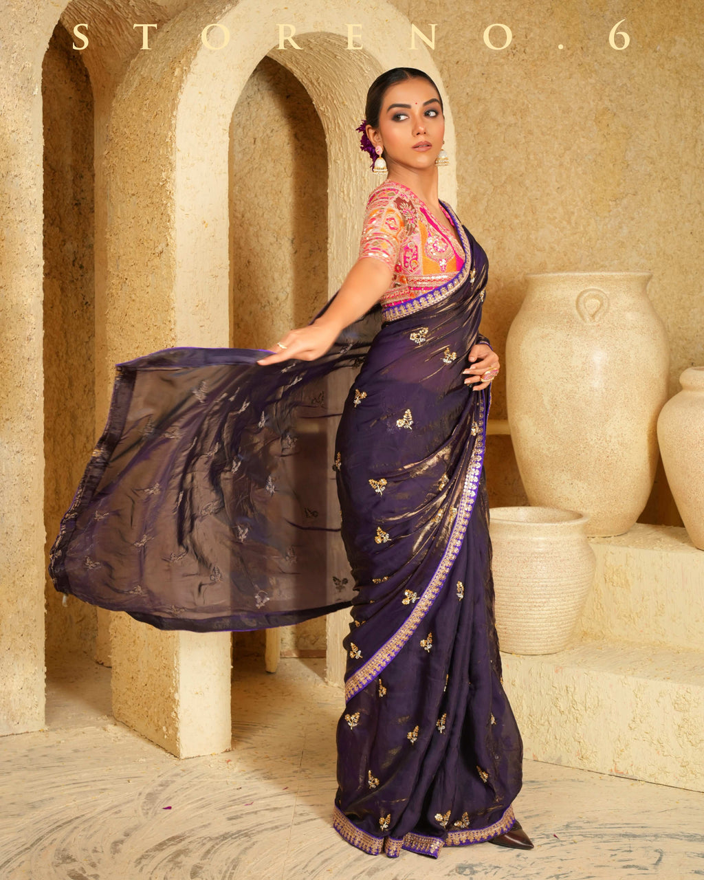 RAISIN RITZY SAREE