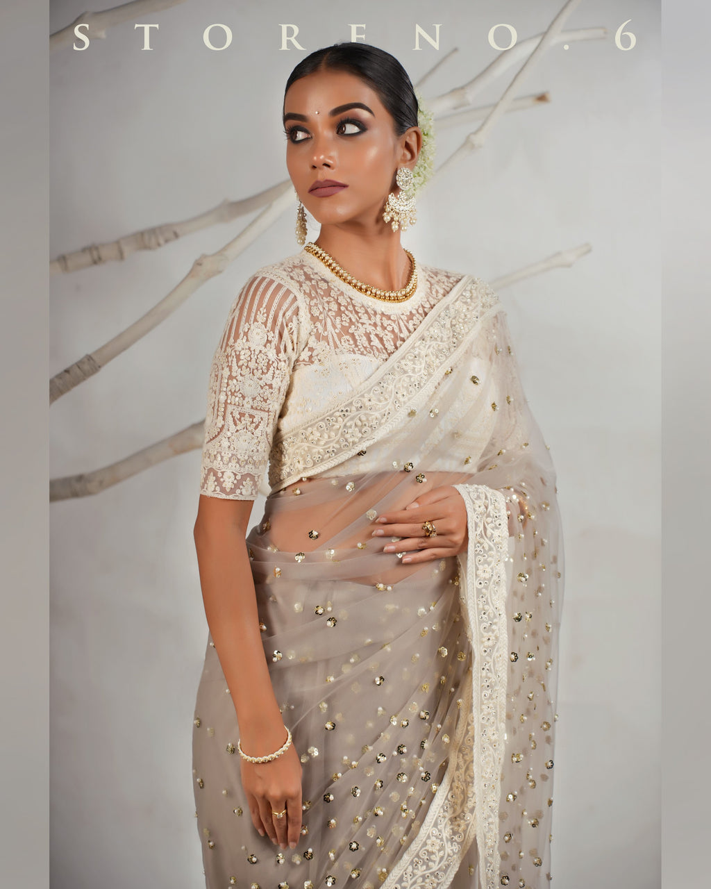 THE AGELESS ASH SAREE