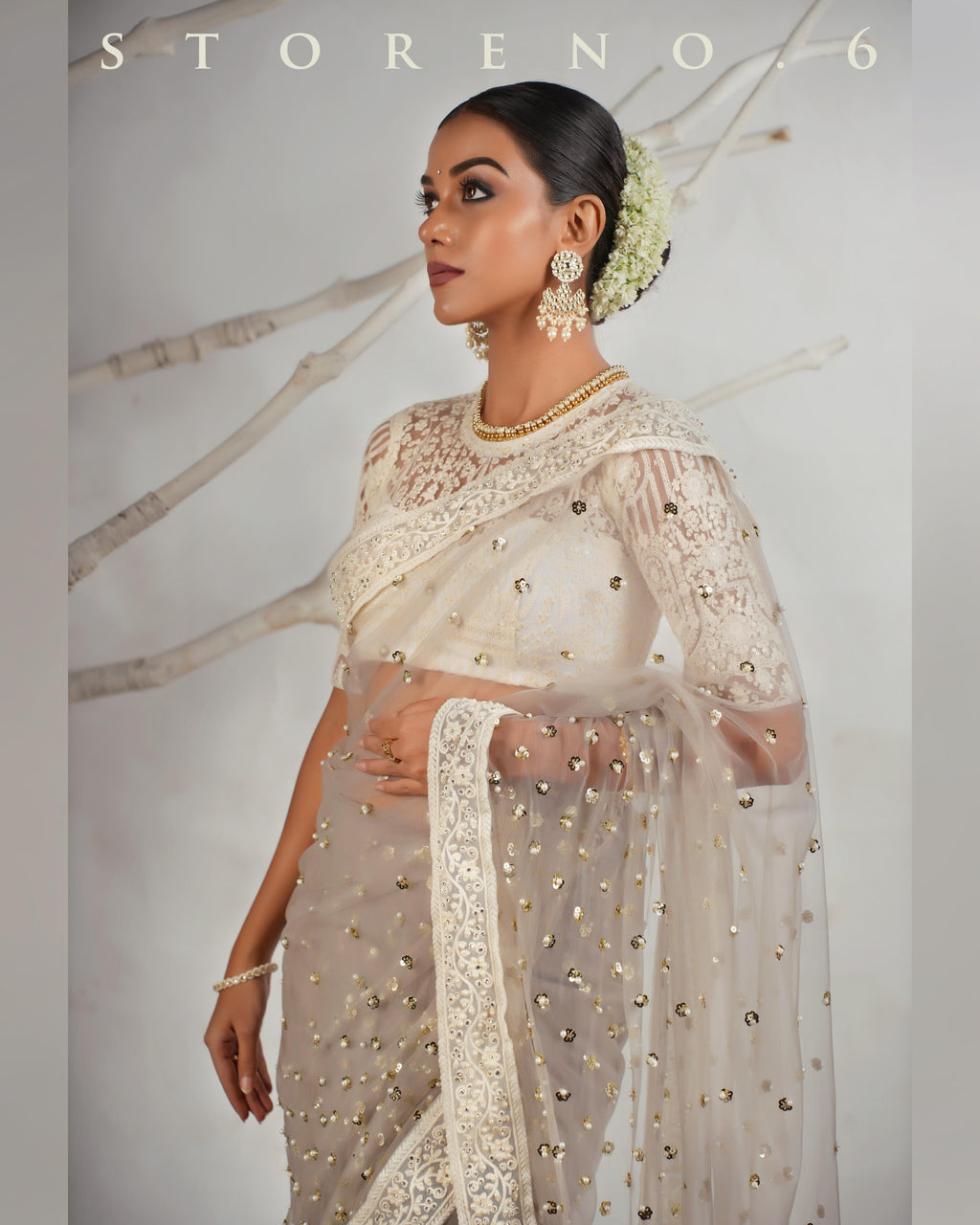 THE AGELESS ASH SAREE