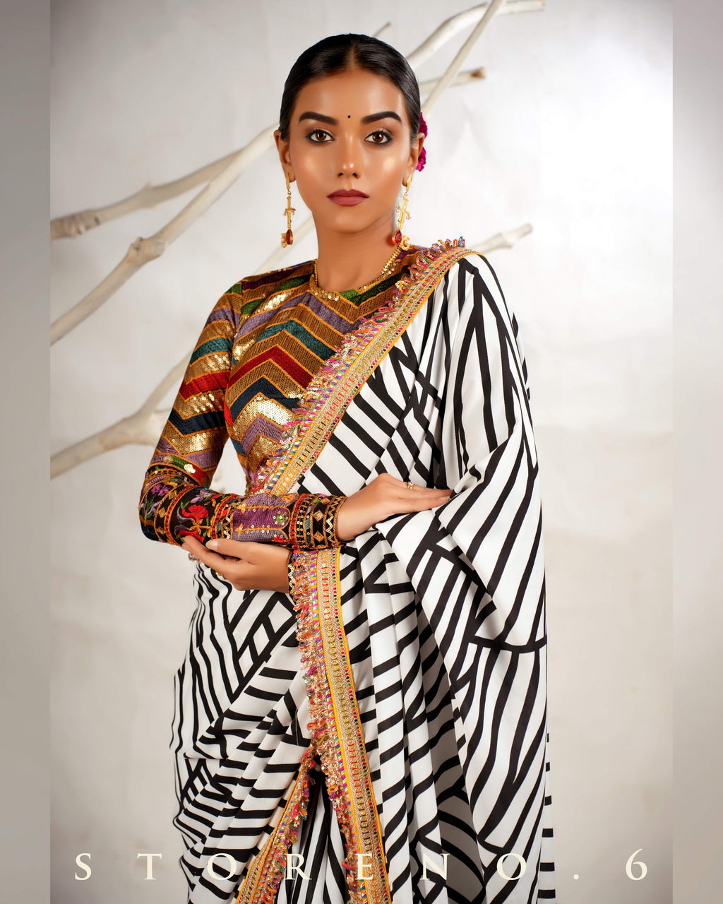 THE WIZARD'S SHOW SAREE