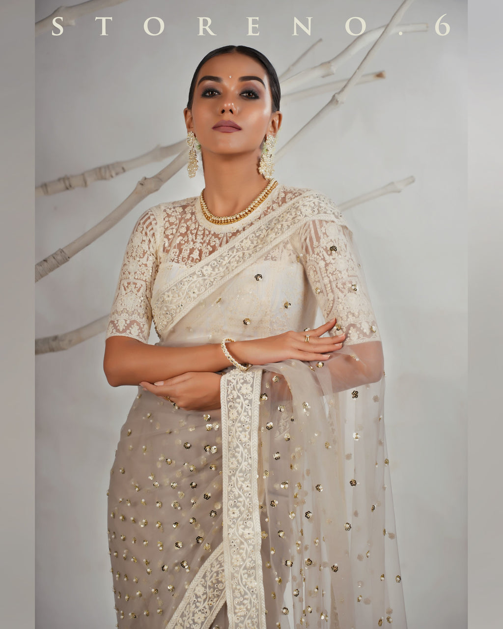 THE AGELESS ASH SAREE
