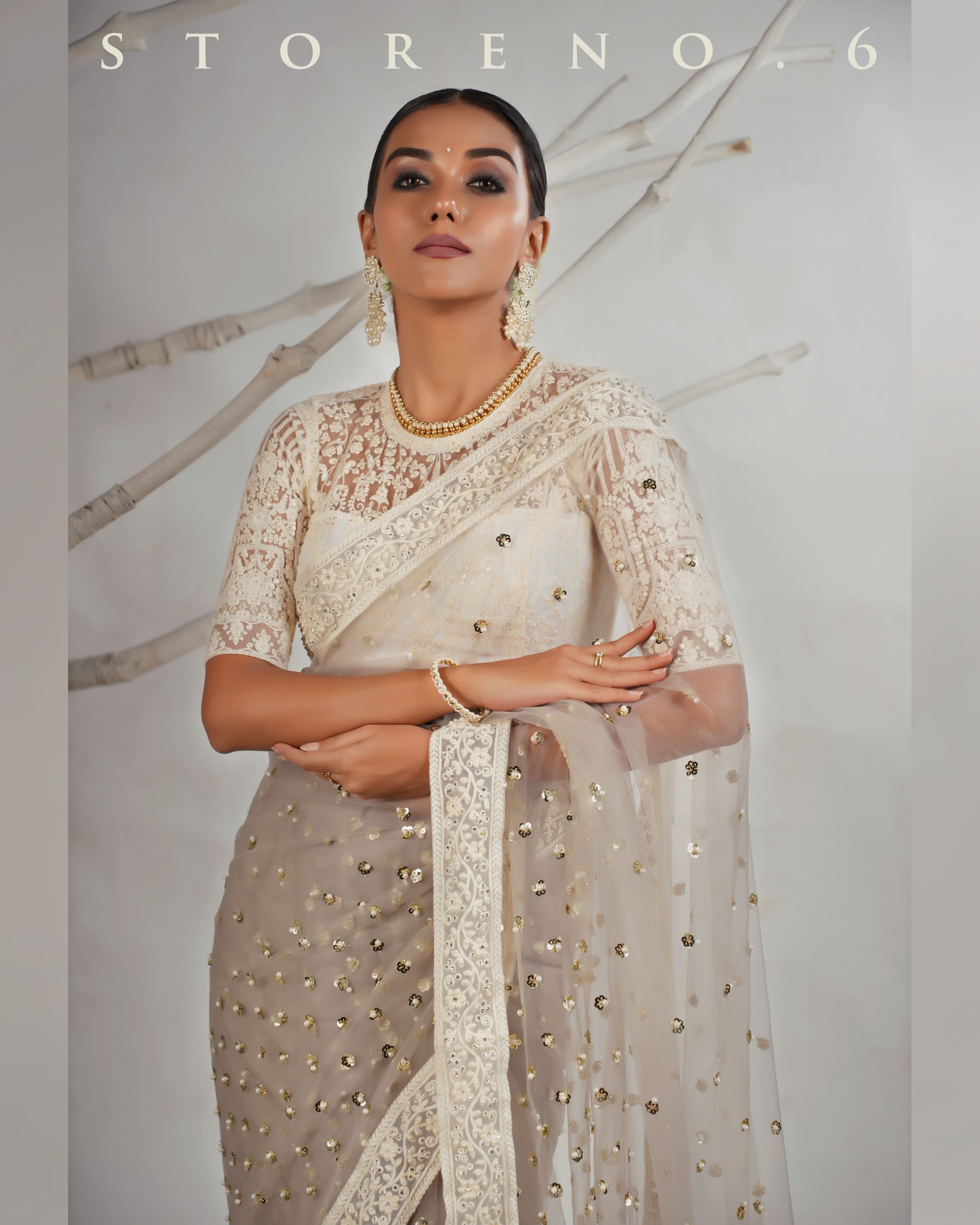 THE AGELESS ASH SAREE